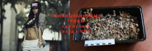 гашик Алзамай