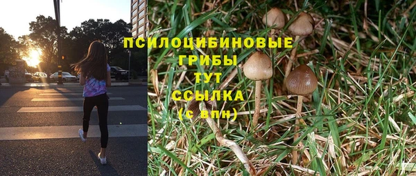 бутират Абаза