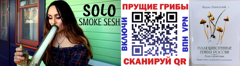 гидра tor  Темников  Галлюциногенные грибы Magic Shrooms 